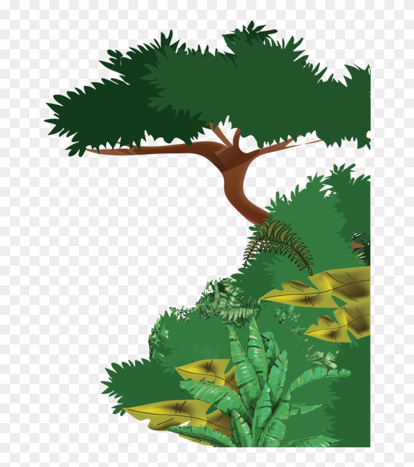 Rainforest Clipart Big Plant - Selva Dibujo Png #861193