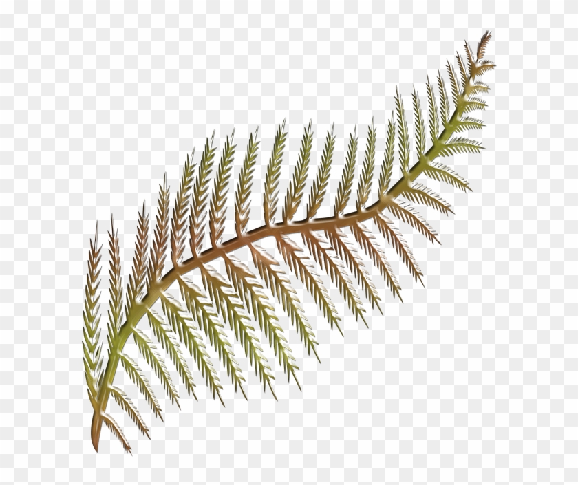 Flora, Fern Frond, Shape Stylised, Colored, Shape - Hoja De Helecho Png #861200