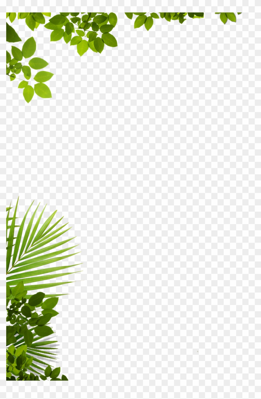 28 Collection Of Jungle Leaves Background Clipart Png - Window Decal: Through The Tree (window Decal), 70x50cm. #861226