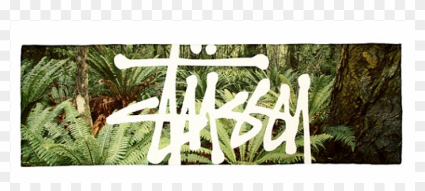 Travel To Tropical Paradise With Stussy - Wallpaper #861228
