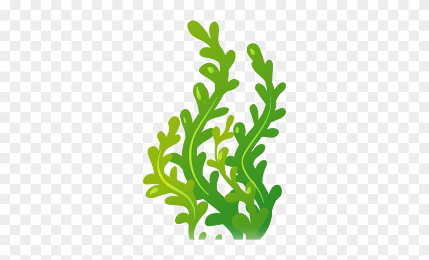 Seaweed Clipart Page 5 Clipart Ideas Reviews - Clip Art Sea Weed #861352