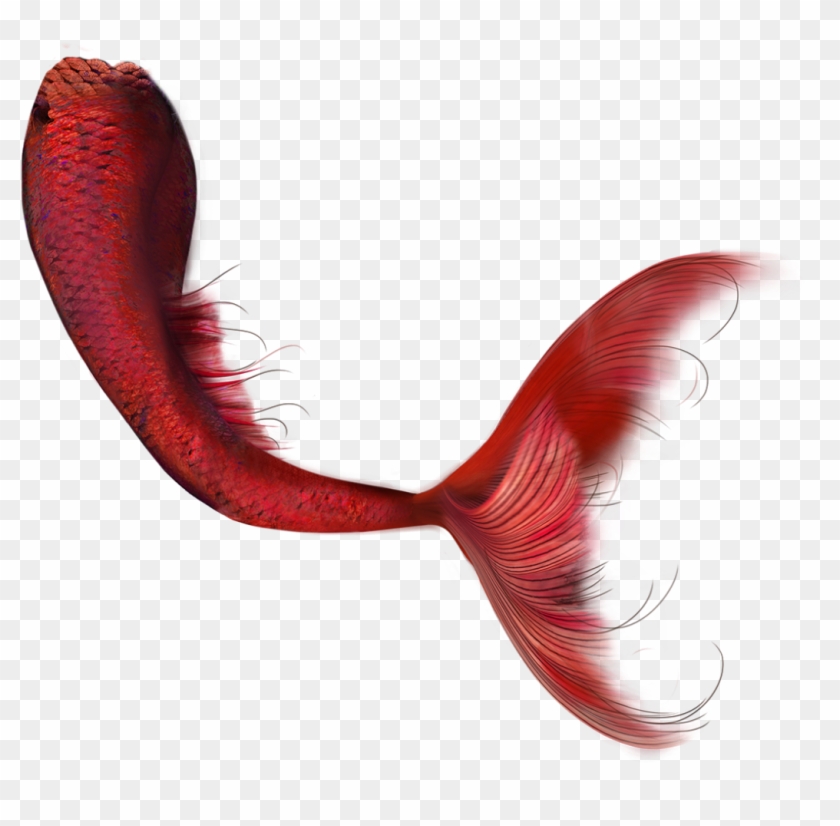 Marmand/fish Hd Clip Art - Mermaid #861622
