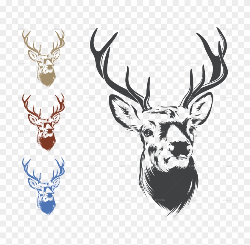 Deer Antler Illustration Download - Deer Head Vector #861959