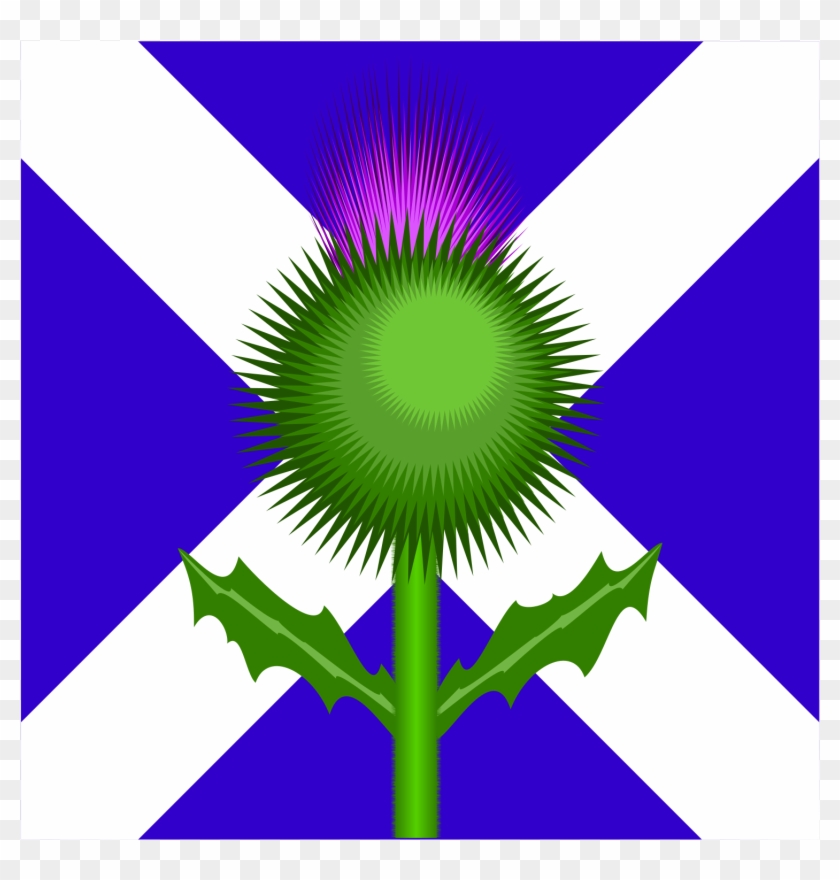 Scottish Thistle And Flag Clipart, Vector Clip Art - Scotland Flag And Thistle #158465