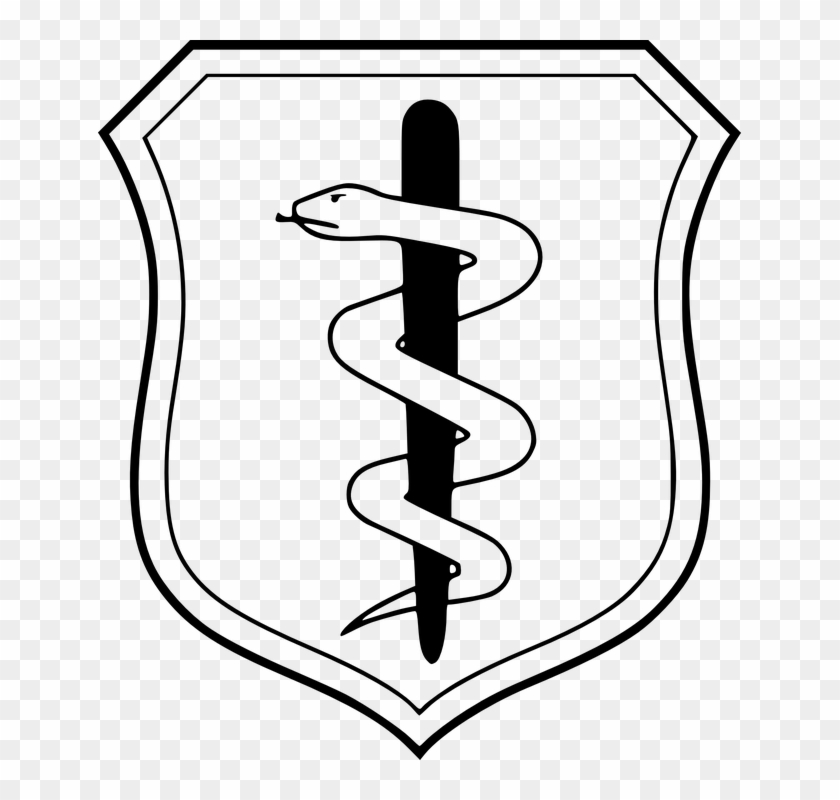 Shield, Snake, Staff, Badge, Doctor - Air Force Medical Corps #158955