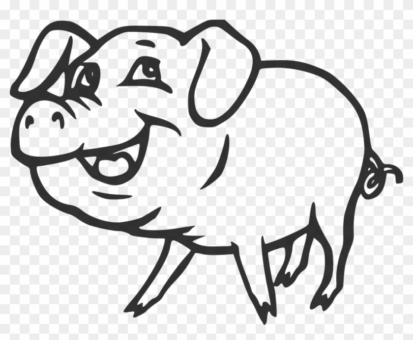 Farm Pig Smiling Animal Tail Pork Curly Smile - Pig Black And White #159821