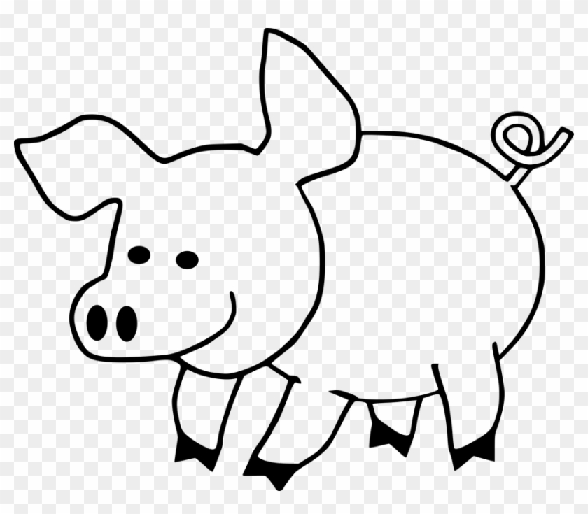 Cartoon Hog Pig Swine - Cute Pig Coloring Pages #159877