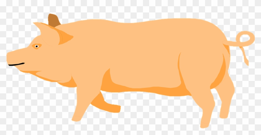 Barn Farm Pig Walking Animal Prancing - Pig Clipart Orange #159900