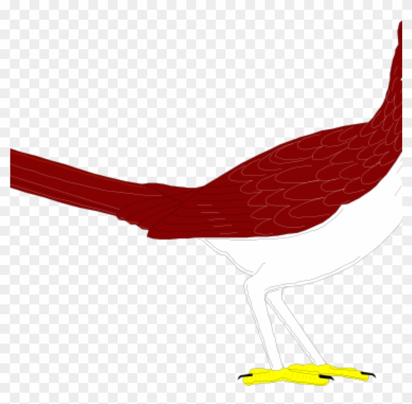 Roadrunner Clipart Roadrunner Clip Art At Clker Vector - Clip Art #160157