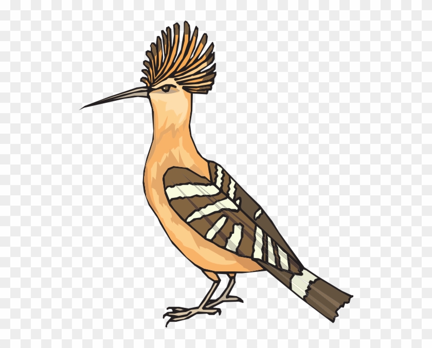 Hoopoe Clipart Png #160169