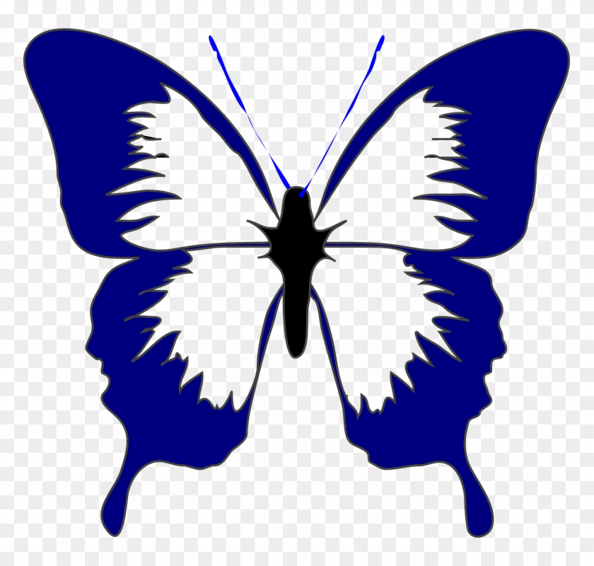 Butterfly, Insect, Spring, Navy Blue, Beautiful, Summer - Butterfly Black And White Clipart #160214