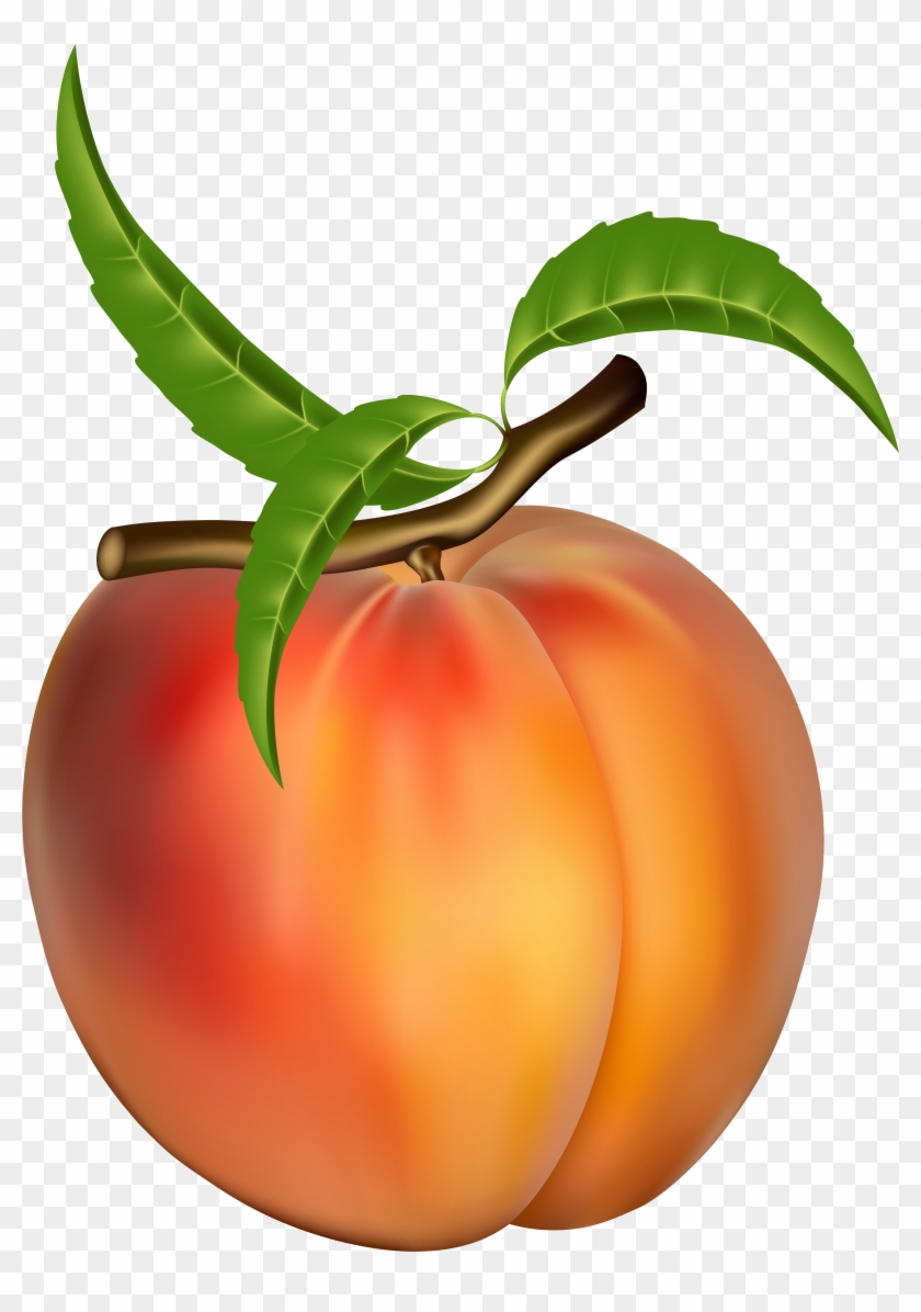 Peach Clip Art Free - Peach Clip Art Free #160460