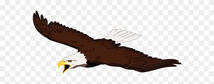 Free American Eagle Clip Art Patriotic Clipart Clipartix - เหยี่ยว การ์ตูน Png #160507