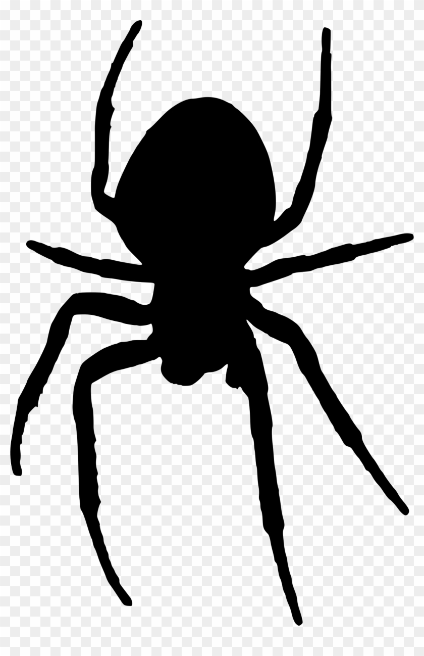 Spider - Spider Silhouette Png #160614