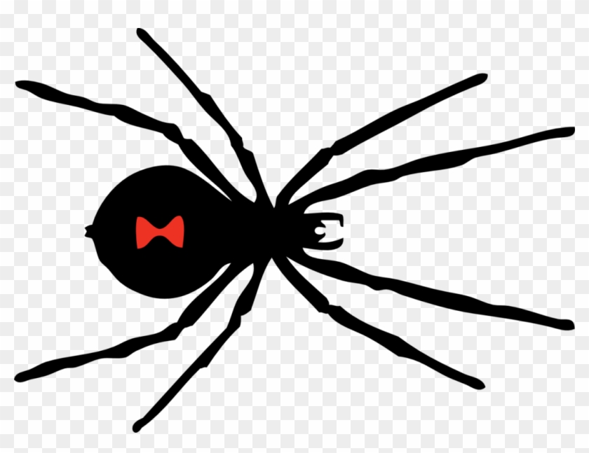 Black And White Spider Clipart - Black Widow Red Spot #160624