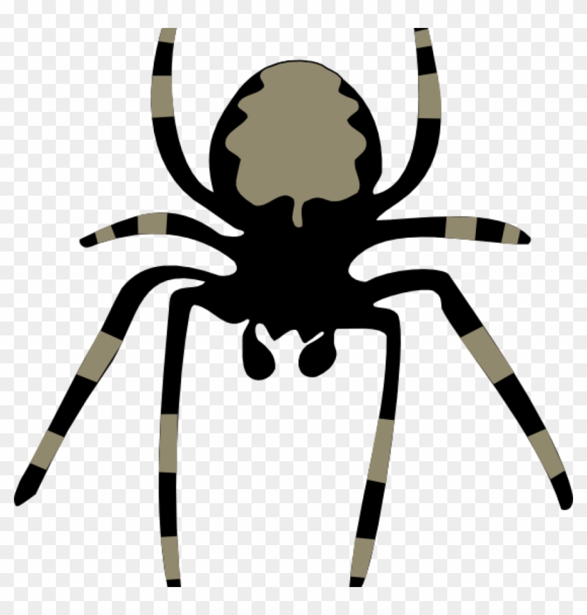 Spider Clipart Spider Clip Art At Clker Vector Clip - Clip Art Spider #160643