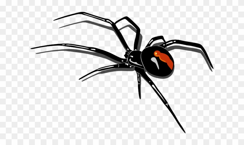 Redback Spider Clip Art - Spider Png #160672