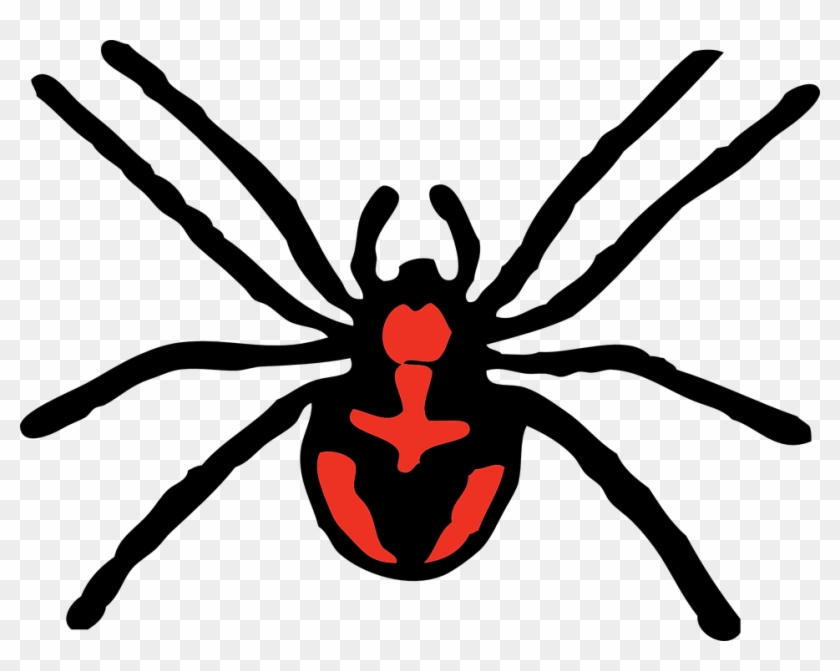 Spider Clipart #160678