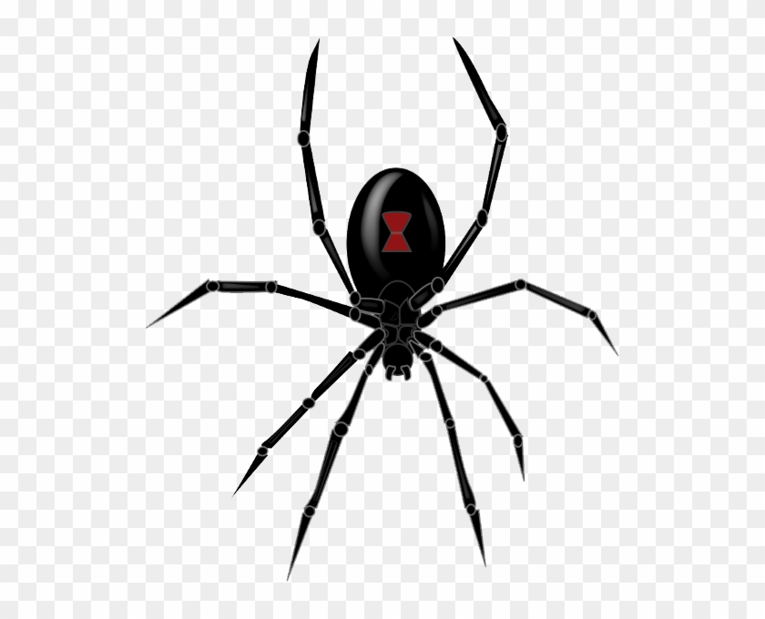 Black Widow Spider Clipart Png Image - Black Widow Spider Clipart Png Image #160704