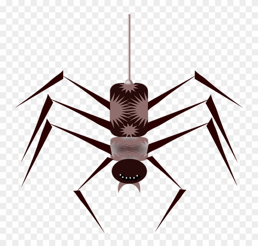 Spider Animated Gif Png #160758