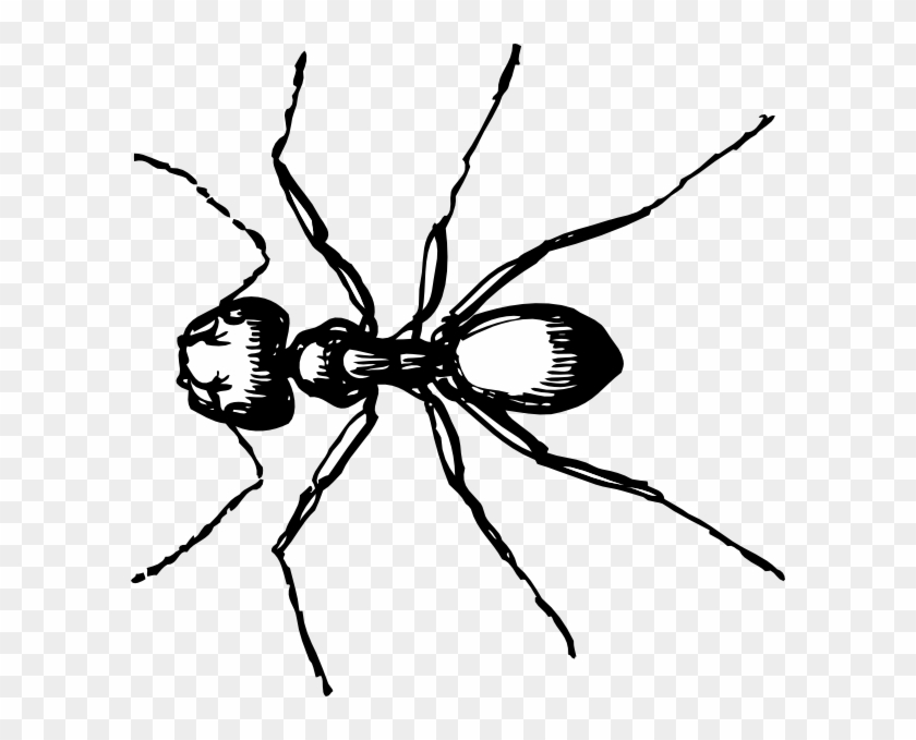 Free Vector Carpenter Ant Clip Art - Ant Clip Art #160782