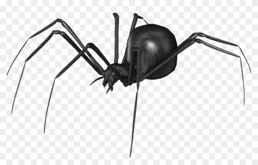 Spider Png Clip Art - Spider #160822