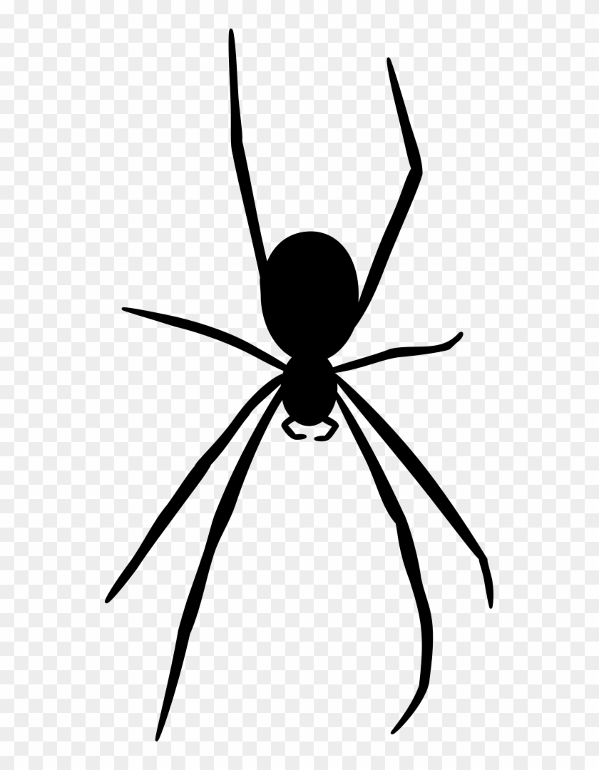 Free Realistic Spider Web Free Spiders Web Free Spider - Spider Silhouette Png #160823