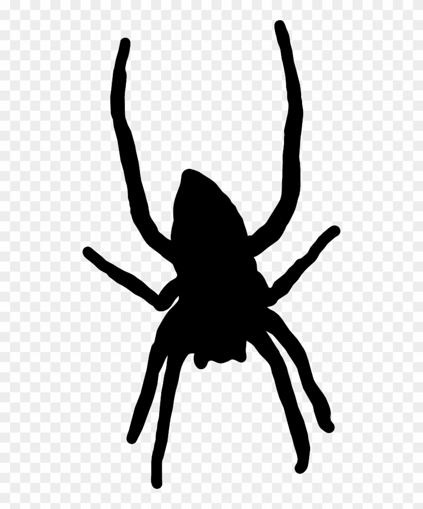 Transparent Spider Cartoon #160902