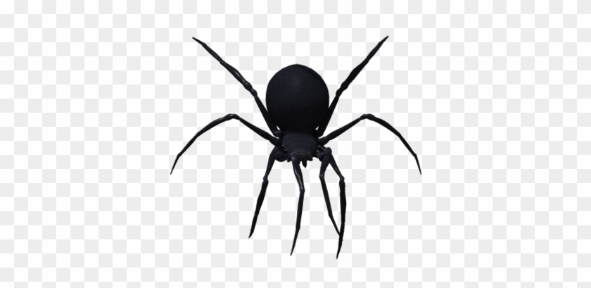 Transparent Black Widow Spider Clipart - Black Widow Spider Png #160924