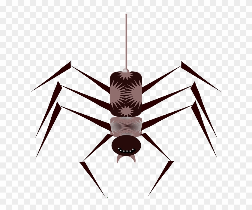 Cartoon, Bugs, Spider, Bug, Free, Web, Insect, Insects - Spider Animated Gif Png #160932