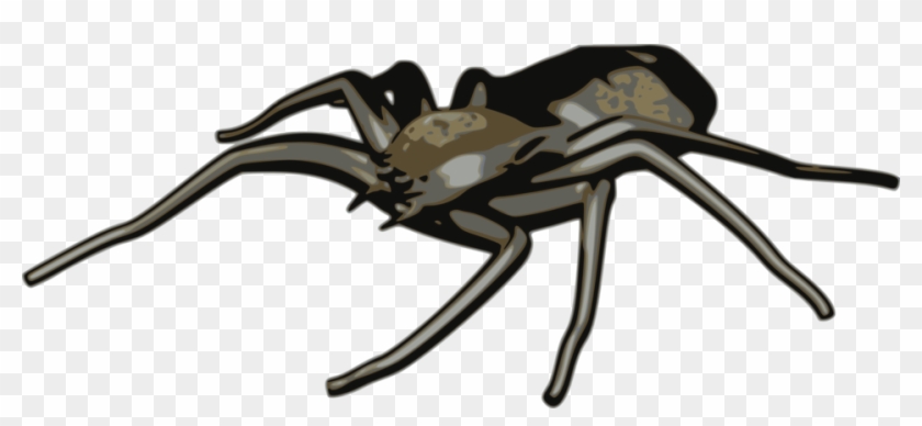 Illustration Of A Spider - Arachnid Clipart #160935