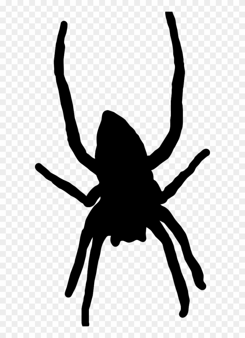 Vector Clip Art - Spider A Vector #160959