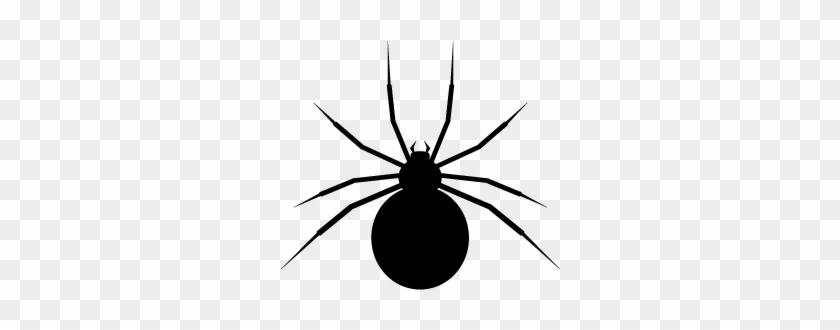 Spider Icon - Black Widow Spider Icon #160966