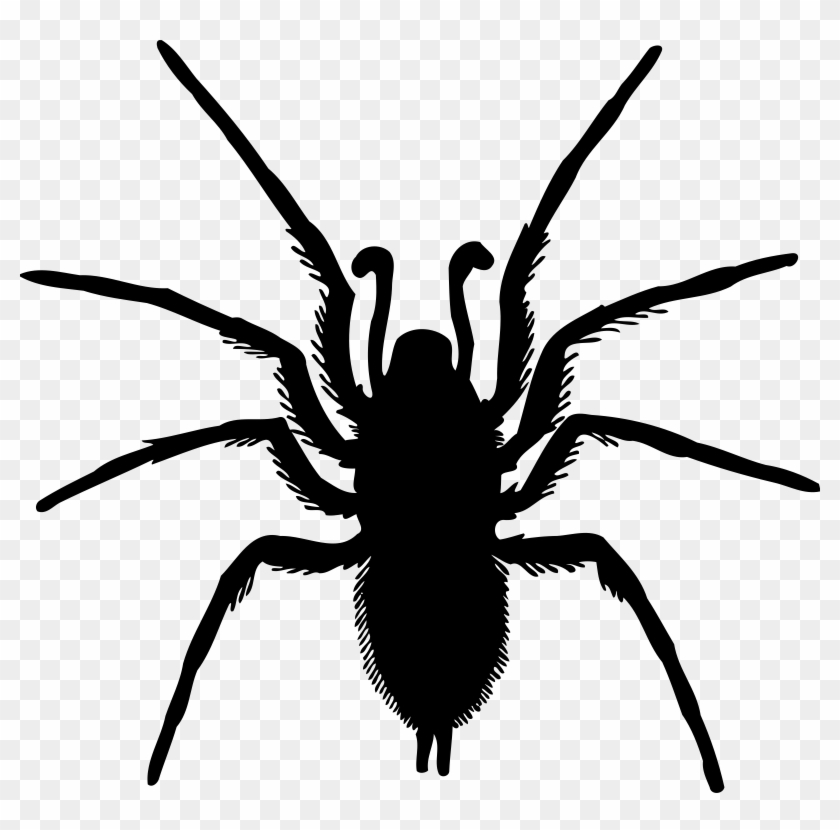 Big Image - Spider Silhouette Png #161007