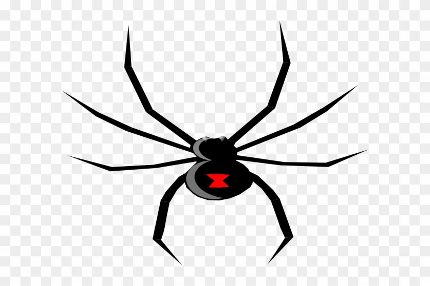 Black Widow Spider Drawing #161004