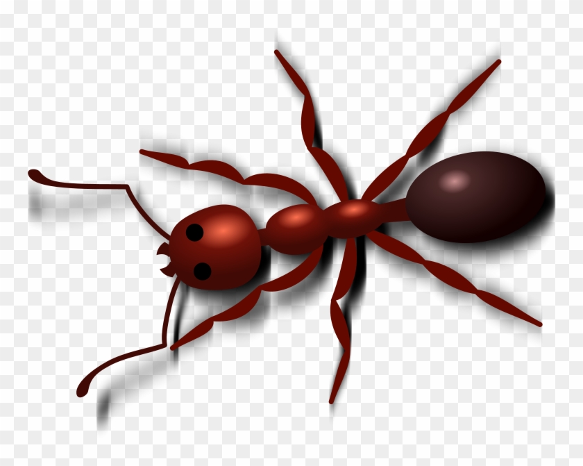 Picnic Clip Art Ants Free Clipart Images - Meat Ant Clip Art #161034