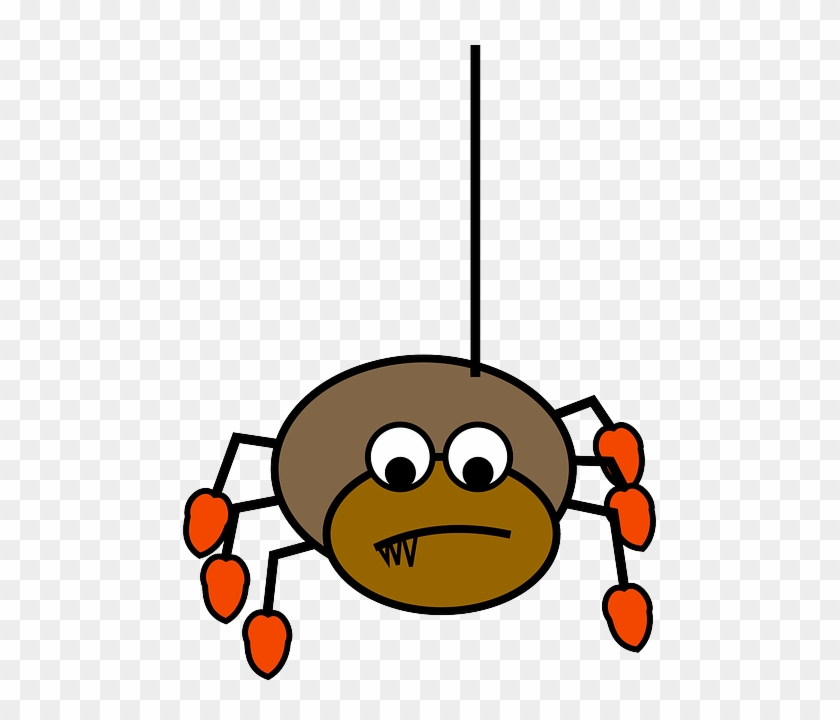 Animal Spider, Insect, Tarantula, Funny, Hanging, Animal - Araña Colgando Png #161054