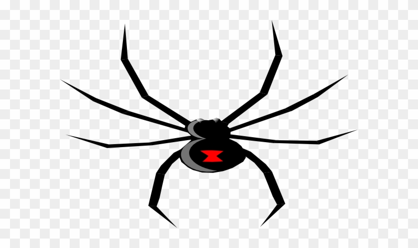 Graphics For Black Widow Spider Clip Art Graphics Www - Black Widow Spider Clipart #161074