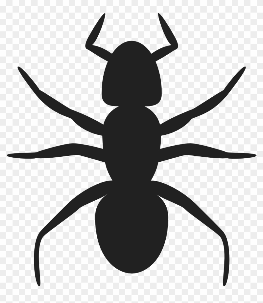 Onlinelabels Clip Art - Ant Silhouette #161077