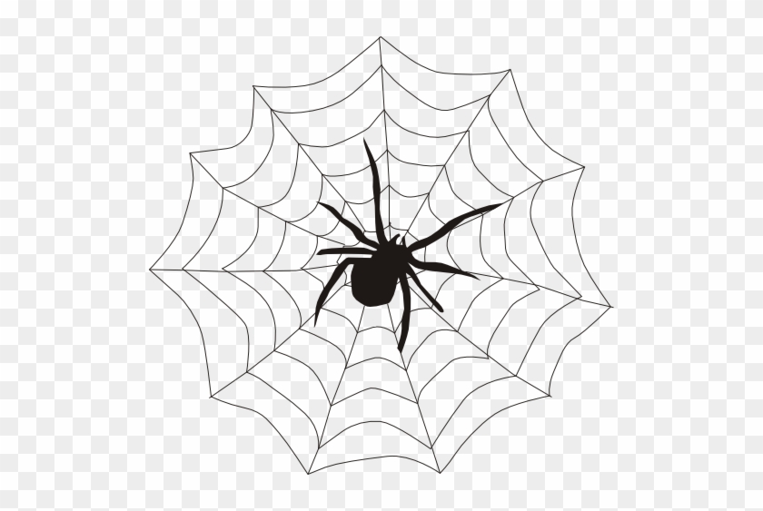 Spider On Web Clipart #161083