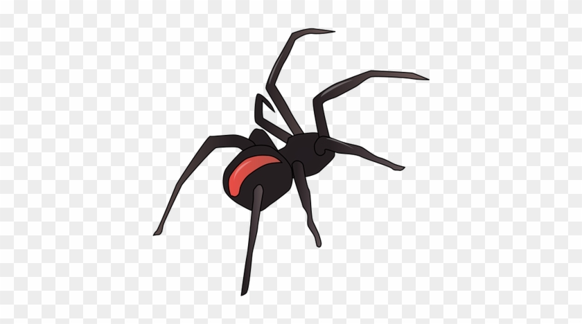 Spider Illustration Free Download Clip Art Free Clip - Redback Spider Vector #161094