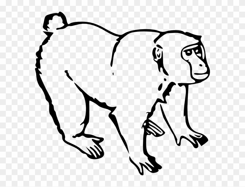 Spider Monkey Clip Art - Outline Of A Monkey #161095