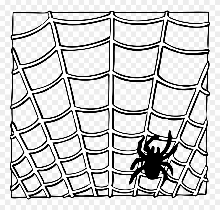 Spider Web Insect Animal Halloween Creepy Nature - Spiderman Webbing Black And White #161106