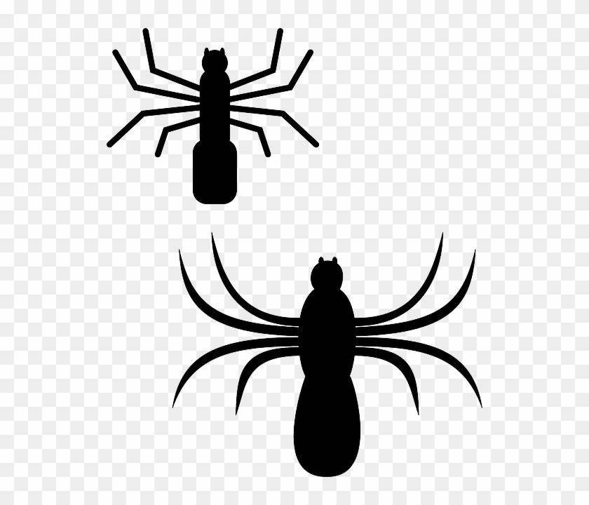 Spiders Silhouette, Cartoon, Bugs, Spider, Web, Insect, - Spiders Clip Art #161147