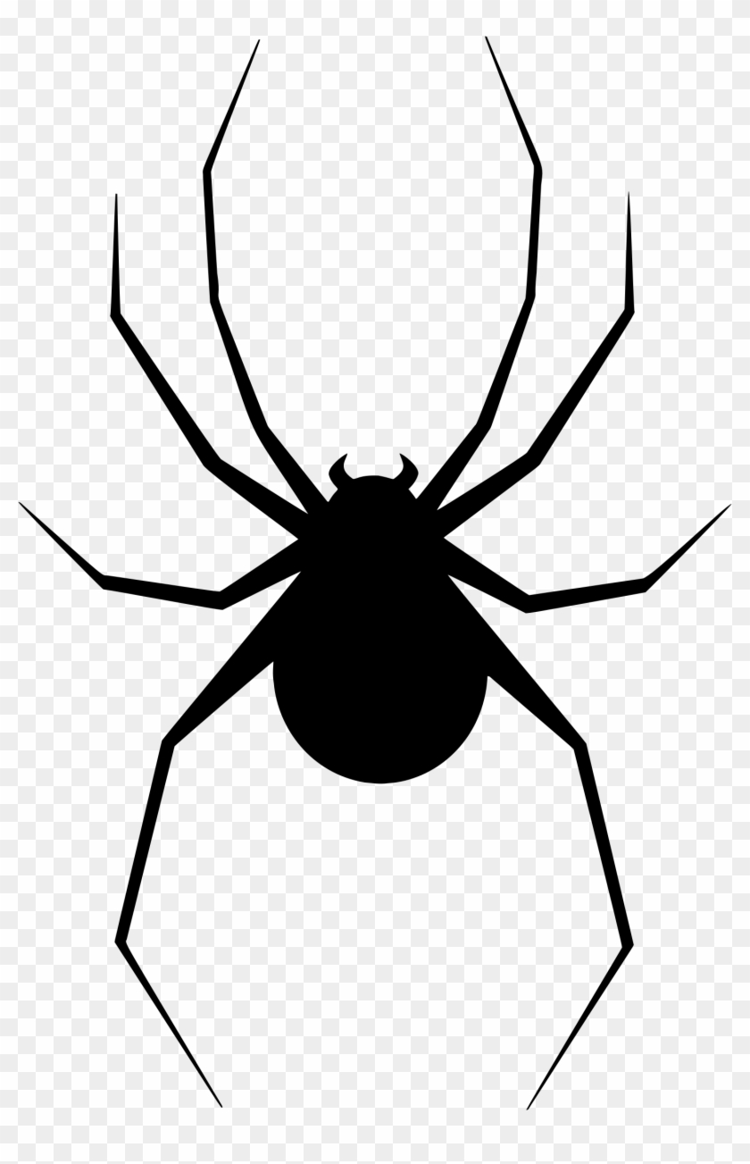 Big Image - Spider Silhouette Png #161182