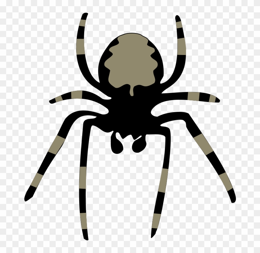 Spider Free Vector - Clip Art Spider #161184