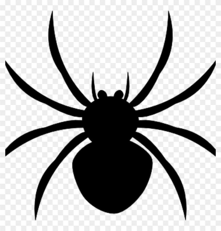 Spider Clipart Black And White Arachnophobia Overcoming - Spider Clipart Black And White #161190
