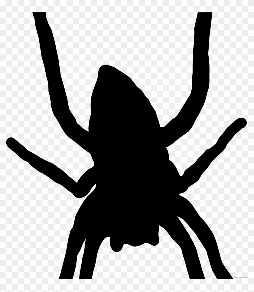 Spider Silhouette Animal Free Black White Clipart Images - Clipart Aranha #161201