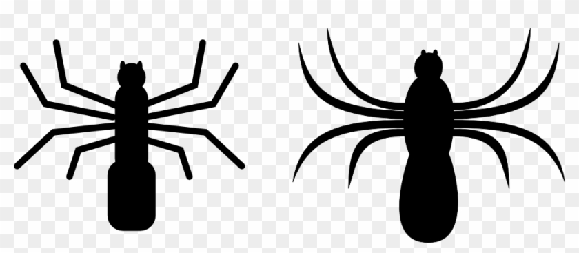 Get Notified Of Exclusive Freebies - Spiders Clip Art #161214