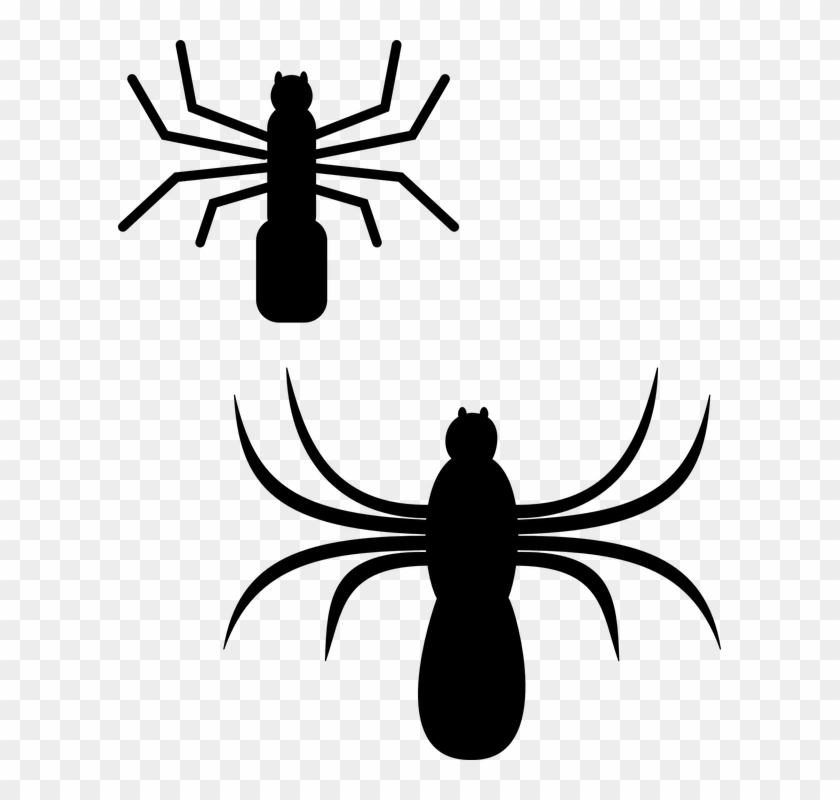 Spider Silhouette Bugs Insect Spiders Halloween - Spiders Clip Art #161229
